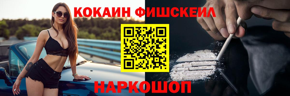 Камышин  COCAIN Fish Scale  COCAIN  Вход с VPN  COCAIN Боливия 