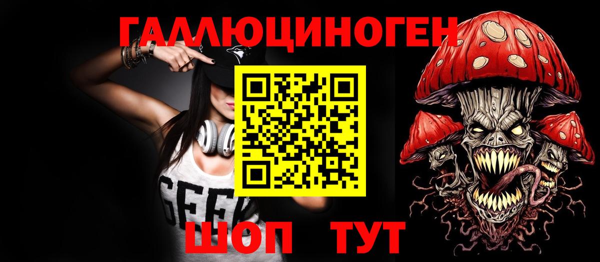 Камышин  Псилоцибиновые грибы Psilocybine cubensis  Псилоцибиновые грибы Psilocybine cubensis  Вход с VPN 